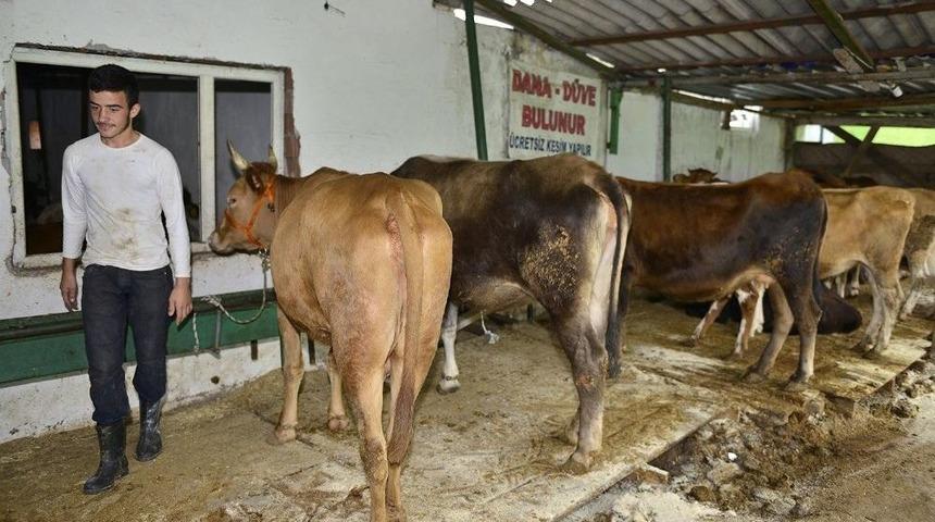 Yıldırım&rsquo;da &lsquo;sertifikalı Kurban Kesim Kursu&rsquo;
