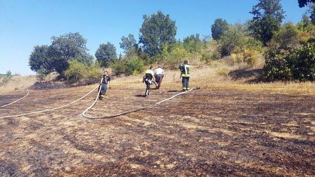 Tarlada &Ccedil;ıkan Yangın Ormana Sı&ccedil;ramadan S&ouml;nd&uuml;r&uuml;ld&uuml; 2