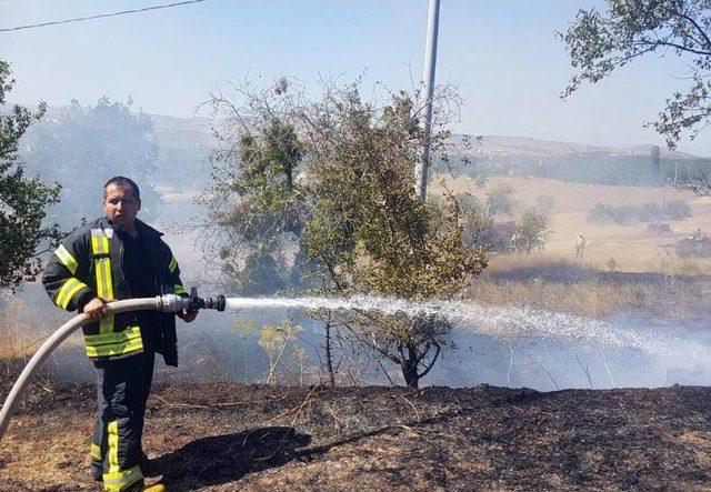 Tarlada &Ccedil;ıkan Yangın Ormana Sı&ccedil;ramadan S&ouml;nd&uuml;r&uuml;ld&uuml; 3
