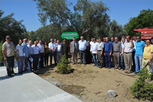 15 Temmuz Şehitleri Anısına Fidan Dikildi