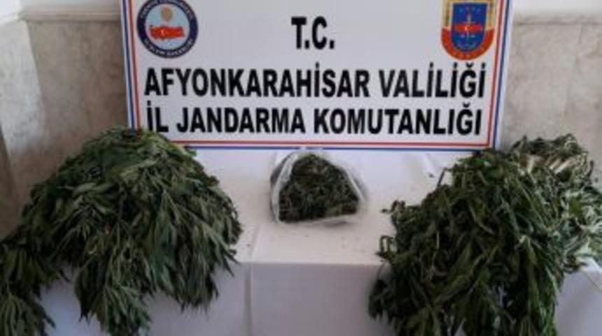 Jandarma 193 K&ouml;k Kenevir İle 304 Gram Kubar Esrar Ele Ge&ccedil;irdi