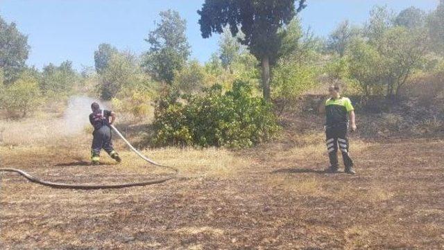 Kula'da Tarım Arazisinde Yangın