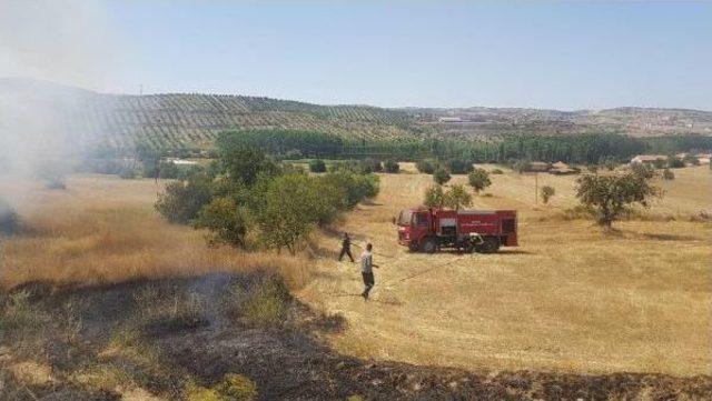 Kula'da Tarım Arazisinde Yangın