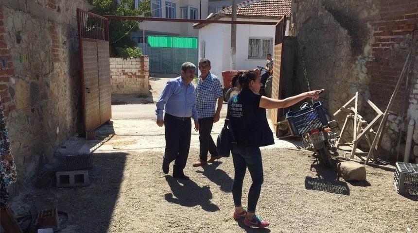 Hayvan Damları Sineğe Karşı İla&ccedil;lanıyor