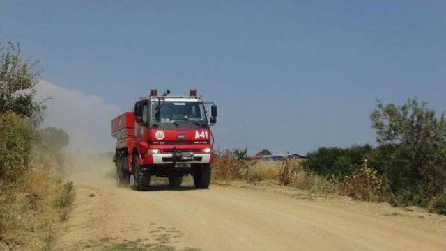 Tekirdağ'da Orman Yangını