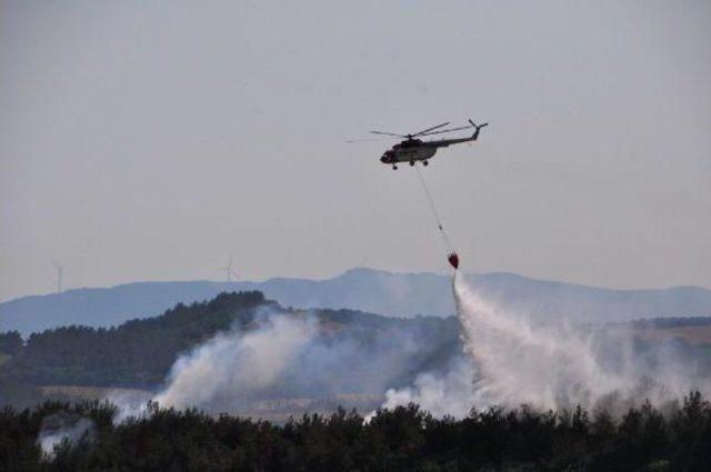 Tekirdağ'da Orman Yangını