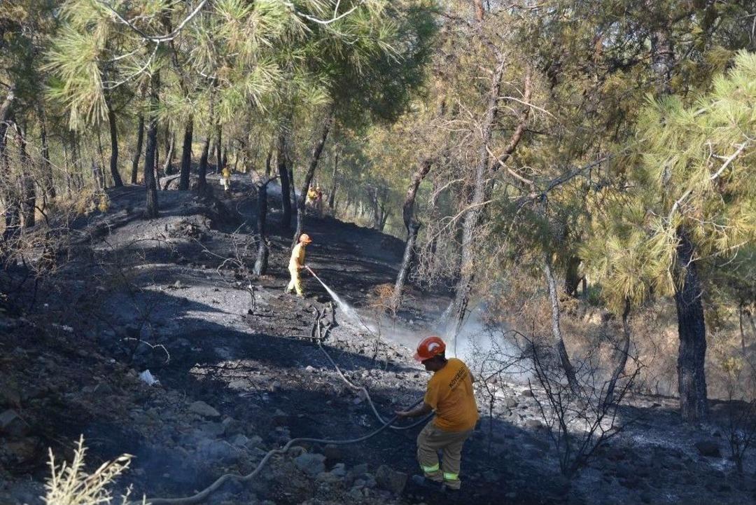 Ortaca&rsquo;da Orman Yangını