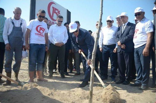 250 Fidan, 15 Temmuz Şehitlerinin Anısına Toprakla Buluştu 1