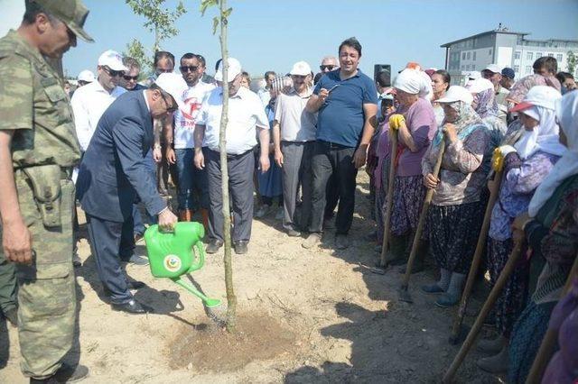 250 Fidan, 15 Temmuz Şehitlerinin Anısına Toprakla Buluştu 2