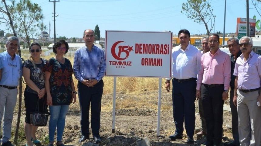 Ayvalık&rsquo;ta &lsquo;demokrasi Ormanı&rsquo;