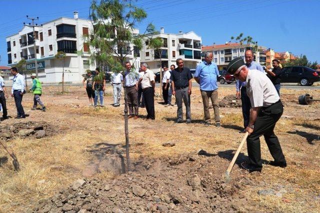 Ayvalık&rsquo;ta &lsquo;demokrasi Ormanı&rsquo; 1