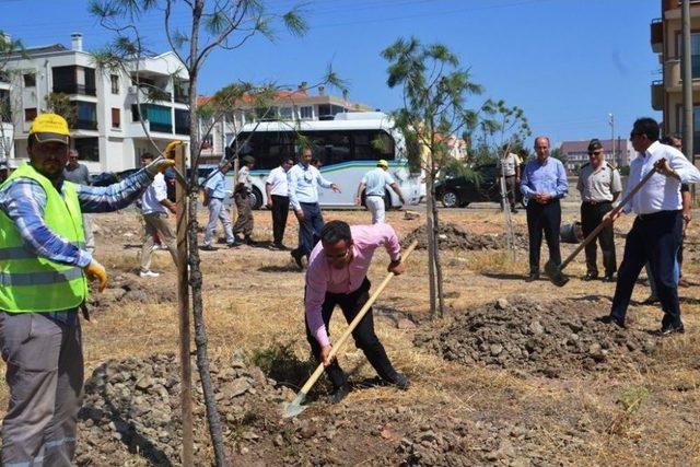 Ayvalık&rsquo;ta &lsquo;demokrasi Ormanı&rsquo; 2