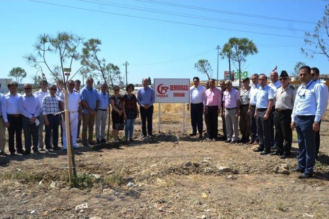 Ayvalık&rsquo;ta &lsquo;demokrasi Ormanı&rsquo; 3