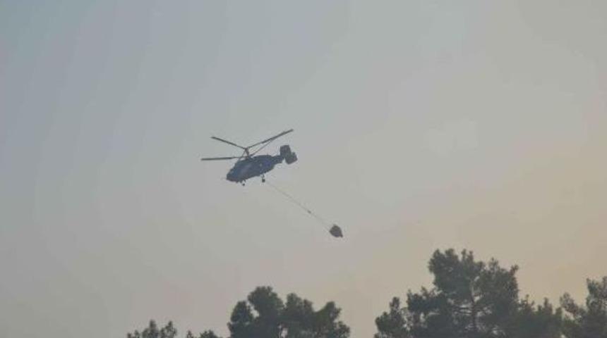 Muğla'da Orman Yangını