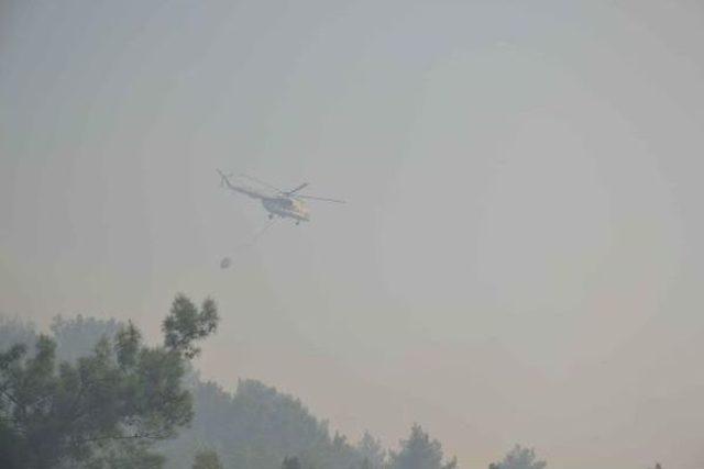 Muğla da Orman Yangını 1