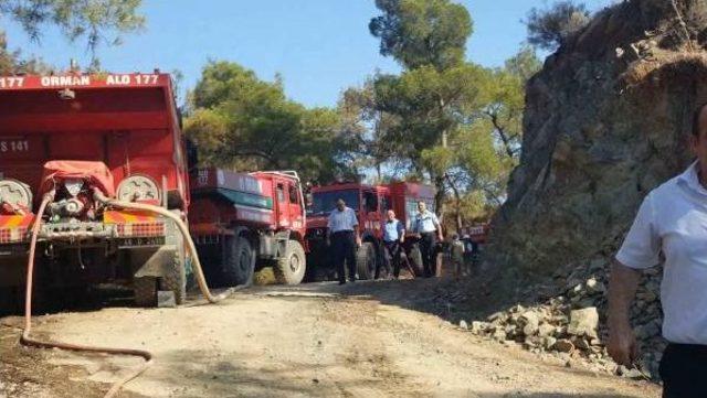 Muğla da Orman Yangını 2