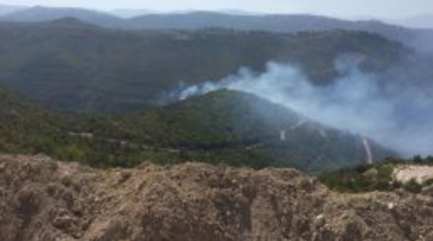 Hatay Sınırında Orman Yangını