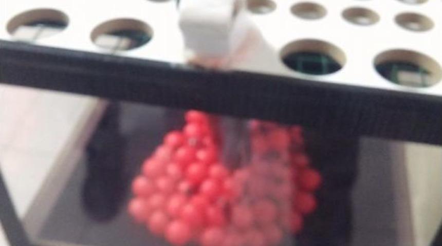 Y&uuml;zs&uuml;z Tombalacılara Baskın: 50 G&ouml;zaltı