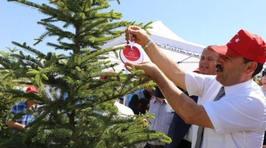 249 Şehidin K&uuml;nyesi Ağa&ccedil;lara Asıldı