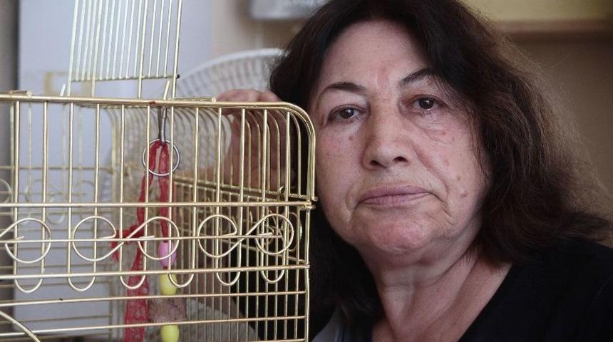 Kaybolan Papağanının Bulunması İ&ccedil;in Ağlıyor