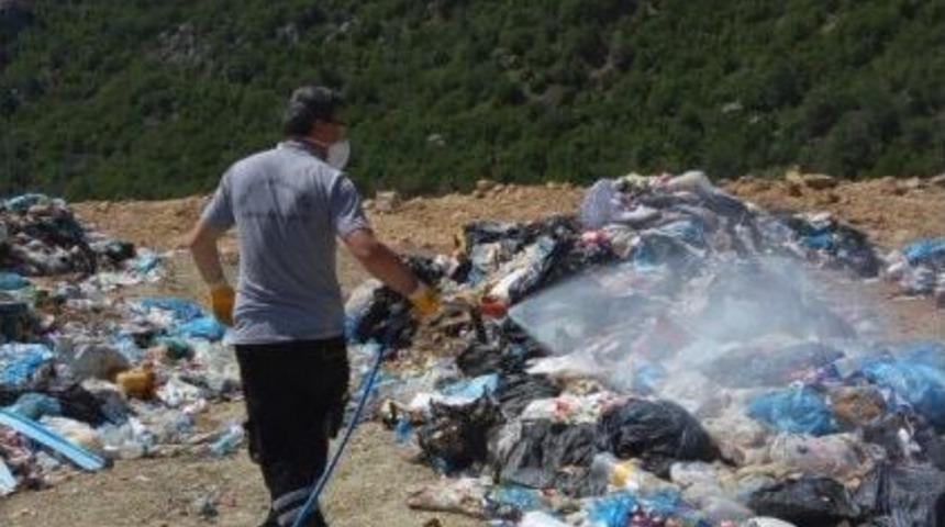 Bilecik Belediyesi İla&ccedil;lama &Ccedil;alışmalarına Devam Ediyor