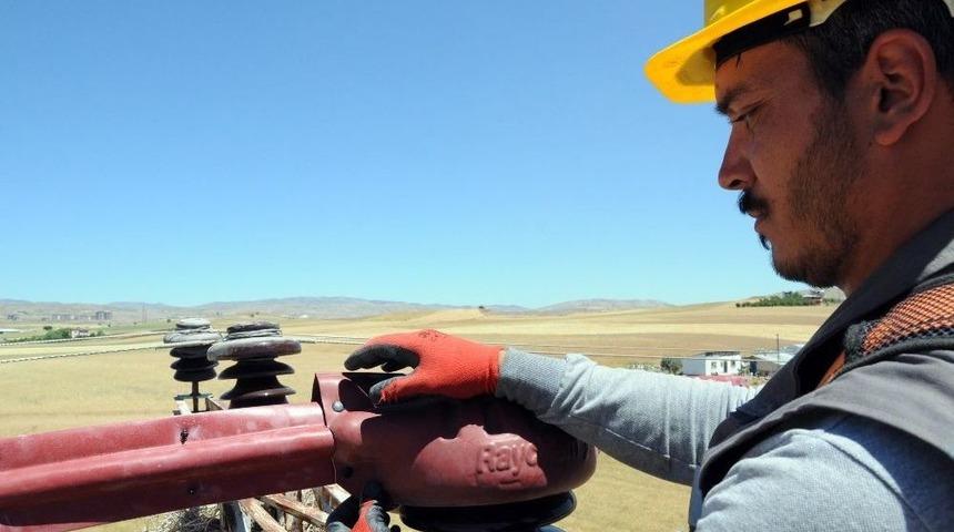 Göçmen Kuşlar ’ölmesin’ Diye 4 Milyon Lira Harcadılar