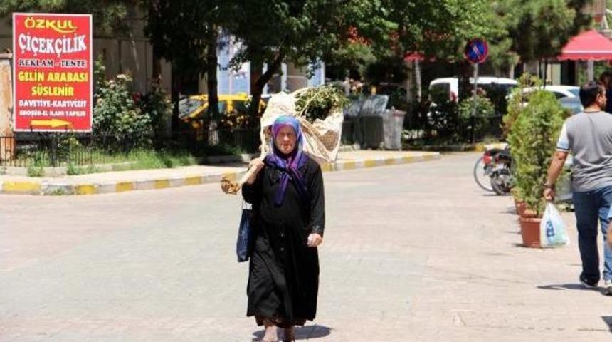 Kesilen Ağacını Omuzladı, 'neden Kestiniz' Diye Belediyeye Hesap Sordu