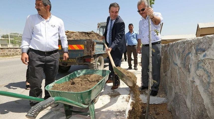 Buca Yeşile Bürünüyor