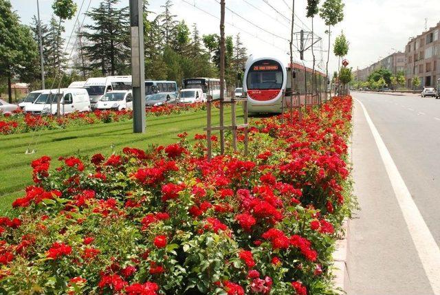 Toplu Ulaşımda Memnuniyet Artıyor 2