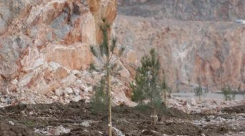 Taş Ocağına Yeşil Gerdanlık