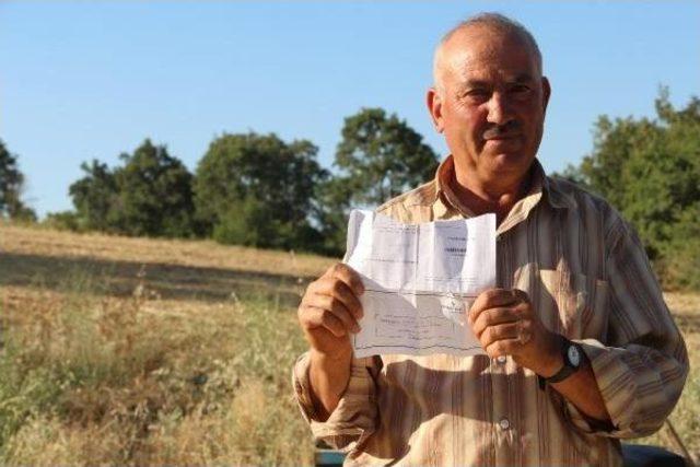 Manisalı Çobana Geçmediği Köprüden Ceza 3