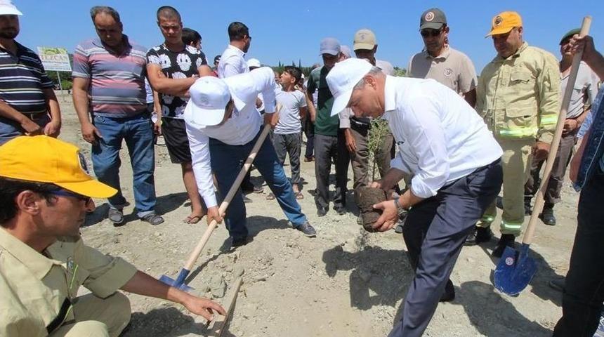Saruhanlı&rsquo;da 15 Temmuz Şehitleri İ&ccedil;in Fidan Dikildi