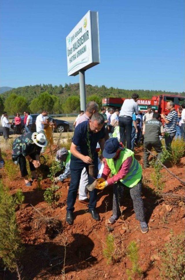 Köyceğiz’de 15 Temmuz Anma Etkinlikleri