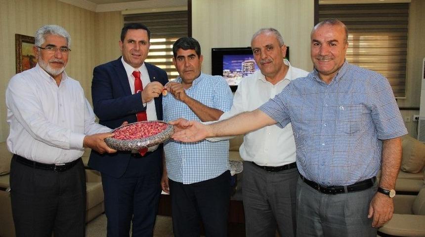 Yılın İlk Antepfıstığına Altın &Ouml;d&uuml;l&uuml;