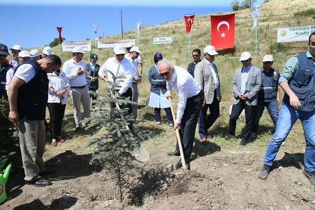 K&uuml;tahya&rsquo;da 15 Temmuz Şehitleri İ&ccedil;in Hatıra Ormanı Oluşturuldu 1