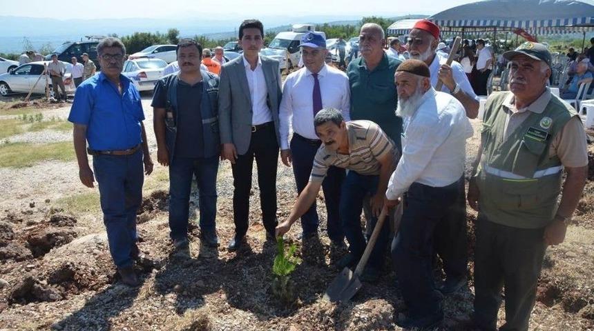 D&uuml;zi&ccedil;i&rsquo;de 249 Şehit İ&ccedil;in 249 Fidan Dikildi