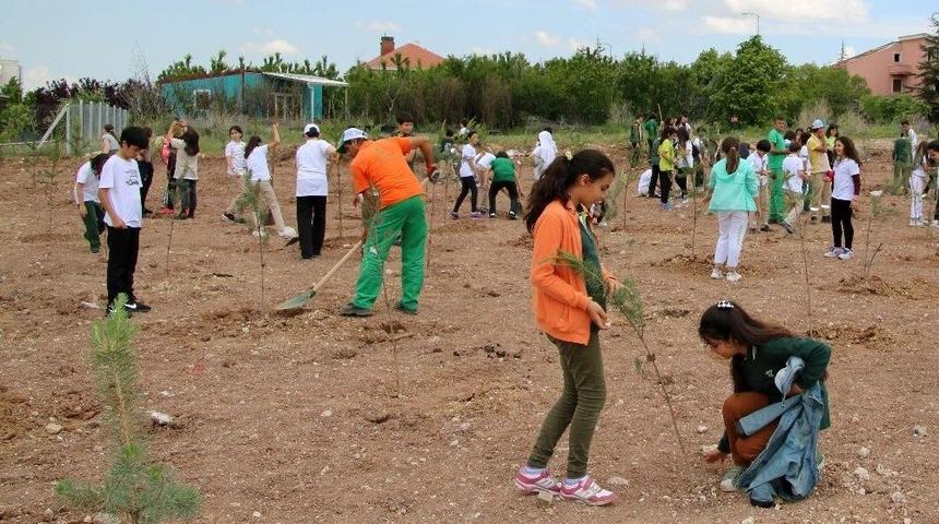 &Ccedil;ankaya&rsquo;nın Yeşil Alanları Artıyor