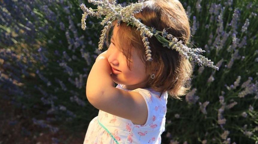 -lavanta Turizmine 20 Bin Ziyaret&ccedil;i