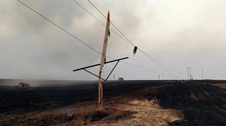 Anız Yangınında 76 Elektrik Direği Yandı