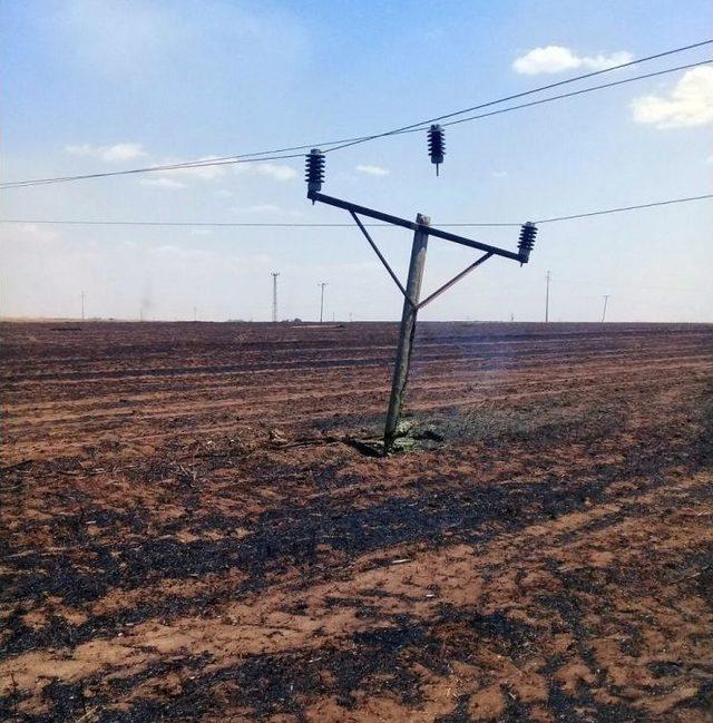 Anız Yangınında 76 Elektrik Direği Yandı 2