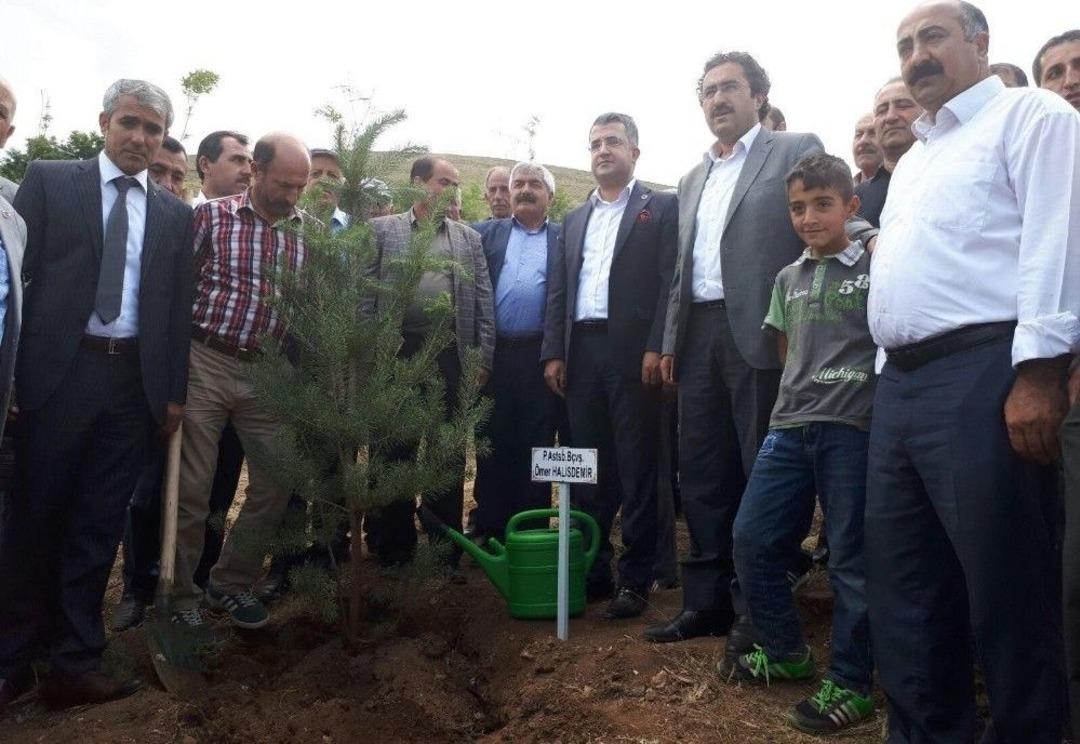 Gevaş&rsquo;ta 249 Şehit Anısına 249 Fidan Dikildi