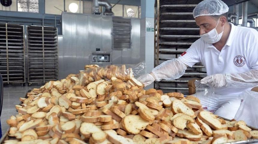 Mer-ek &Uuml;retimini S&uuml;rd&uuml;r&uuml;yor