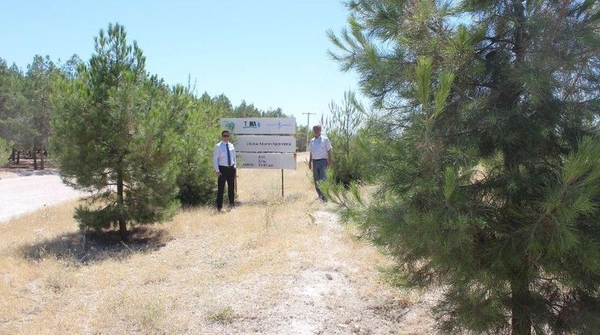 Adıyaman&rsquo;da &lsquo;81 İlde 81 Orman Projesi&rsquo; Amacına Ulaştı