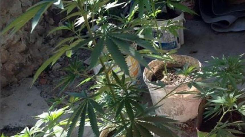 Aliağa'da Uyuşturucu Operasyonu: 2 G&ouml;zaltı