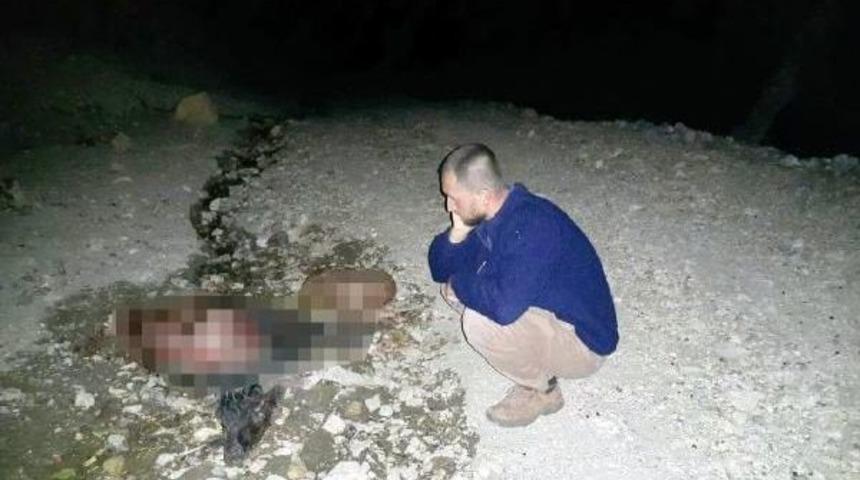 Kurdun Saldırdığı 20 Koyun Ve Ke&ccedil;i Telef Oldu