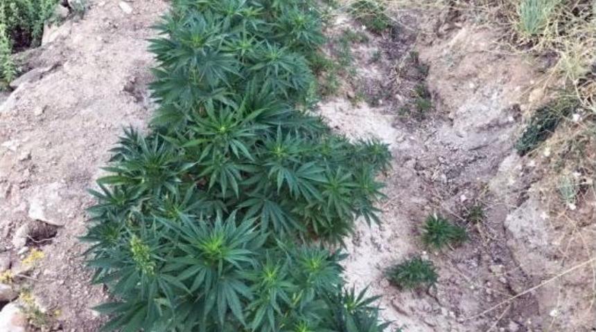 Kahramanmaraş&rsquo;ta Uyuşturucu Operasyonu