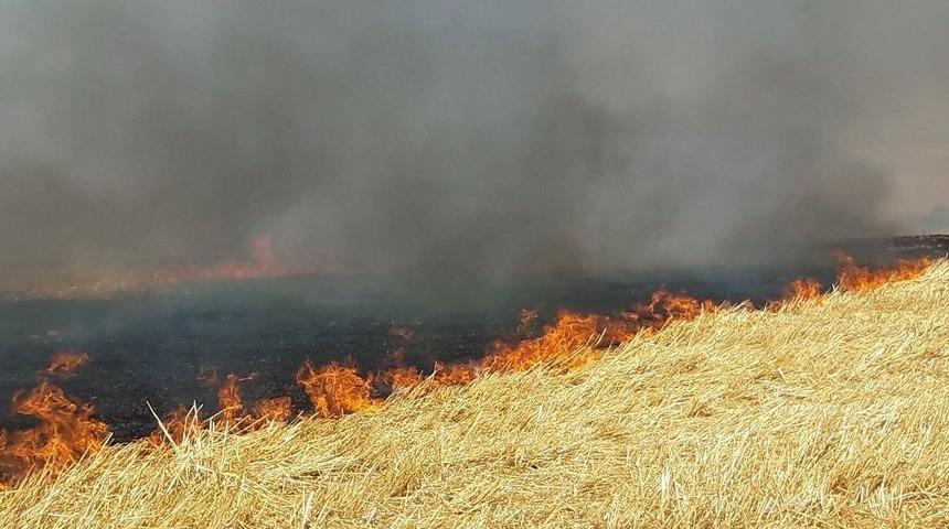 Hastaneye Sı&ccedil;rama Tehlikesi Olan Anız Yangınına Yangın T&uuml;pleriyle M&uuml;dahale Edildi