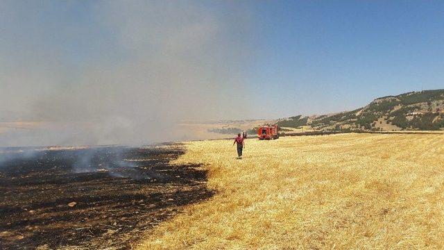 Hastaneye Sıçrama Tehlikesi Olan Anız Yangınına Yangın Tüpleriyle Müdahale Edildi