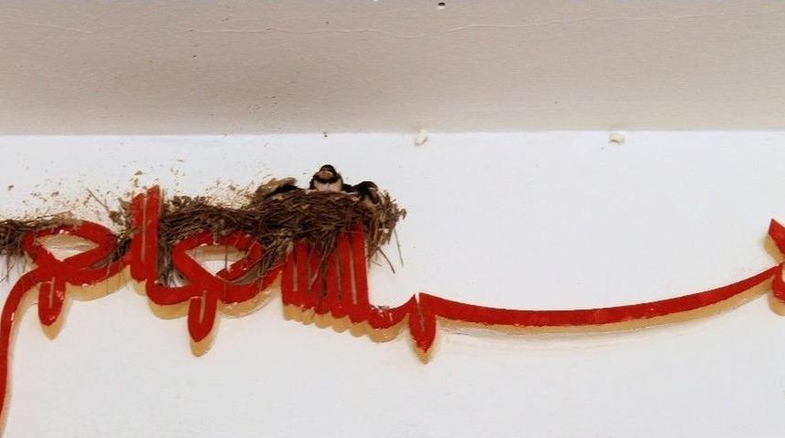 Yuvalarını Besmeleye Yaptılar