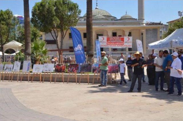 Denizli'de 15 Temmuz Şehitleri Için Mevlit